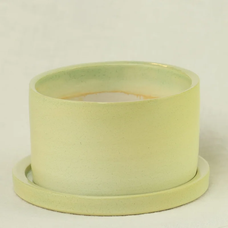 Butter yellow planter and saucer